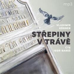 Supraphon Střepiny v trávě (Körner - Bareš Igor) - CD (MP3) (077307)