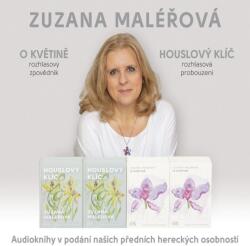 Supraphon O květině & Houslový klíč (Maléřová - Various) - 2CD (MP3) (060189)