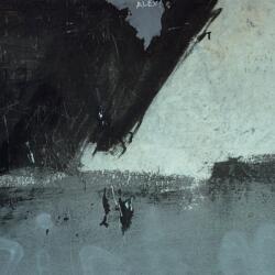Warner New Order: Shellshock - Vinyl (LP) (057043)