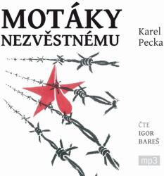 Supraphon Motáky nezvěstnému (Pecka - Bareš Igor) - 3CD (MP3) (037341)