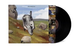 Universal English Teacher: This Could Be Texas - Vinyl (LP) (079491)