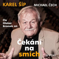 Multiland Čekání na smích (Čech Michael, Šíp Karel - Brousek Otakar ml. ) - CD (MP3) (092672)