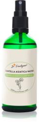 Dr. Feelgood Centella Asiatica Water Lotiune regeneratoare 100 ml