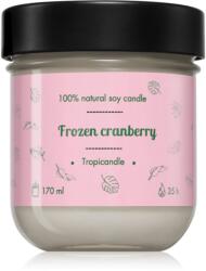 TROPIKALIA Frozen Cranberry ароматна свещ 170ml