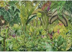 Komar Colorante vliestapéta 350 cm x 250 cm