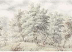 Komar Grove vliestapéta 350 cm x 250 cm