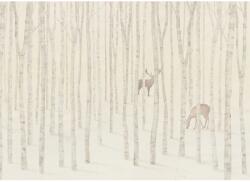Komar Québec vliestapéta 350 cm x 250 cm