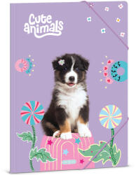 Ars Una Ars Una: Cute animals - Aussie kutyás gumis dosszié A/4-es méret (50215287)