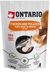 ONTARIO alutasak csirke és tőkehal húslevesben 80g