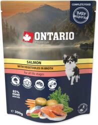 ONTARIO tasakos lazac zöldségekkel húslevesben 300g