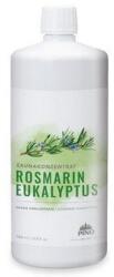 PINO Esență de saună Silvapin® - Rozmarin/Eucalipt, 1000 ml