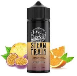 Steam Train Destination 30ml/120ml