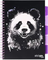 strigo Spirálfüzet elválasztókkal, STRIGO PADS Project Book PANDA, A4, matematika, 200 oldal, 80gr-os FSC papír, keménytáblás, fekete (PADS021)