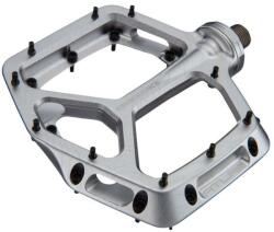 Race Face Atlas Silver (PD22ATLASSLVR)