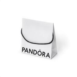 Pandora Ajándéktáska nagy 21, 5×16×16 cm