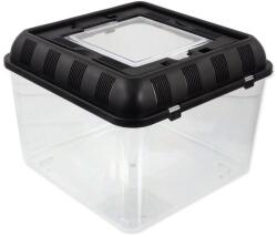Repti Planet Cutie de reproducere Repti Planet 26x26x20cm (007-60804) - raijucarii
