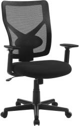 Brius Scaun de birou ergonomic mesh, reglabil complet, brate si suport lombar ajustabile, 68x67x113 cm, negru (EZ-OBN36BK)