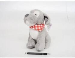 Tulilo Dog azoride gray