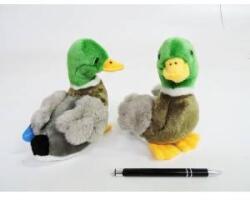 Dubi *PLUSH duck, 18 cm