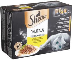 Sheba Adult Alutasakos - Szárnyas válogatás - szószban (12x85g)