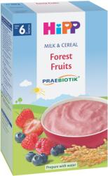 HIPP Lapte & Cereale Cu Fructe De Padure 250g (hpcerfrpad250g) (9062300140115)