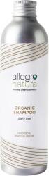 Allegro Natura Chestnut & Orange sampon - 250 ml