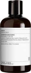 Evolve Organic Beauty Superfood Shine sampon - 250 ml