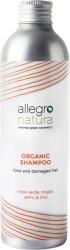 Allegro Natura Walnut & Palmarosa sampon - 250 ml