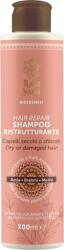 Rasayana Restructuring sampon - 200 ml