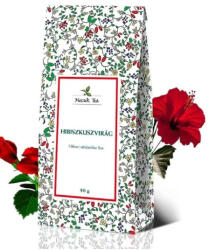 Mecsek Tea Gyümtea Csipke Hibiszk 20x2g Filt - plazapatika