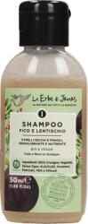 Le Erbe di Janas Füge és Mastix sampon - 50 ml