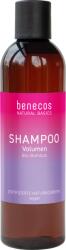 Benecos Natural Basics volumensampon - 250 ml