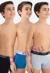 Wooster Fiú boxeralsó (WST0308 11-12 éves)