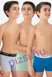Wooster Fiú boxeralsó (WST0301 7-8 éves)
