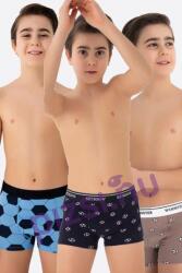 Wooster Fiú boxeralsó (WST0292 9-10 éves)