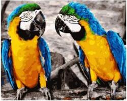 NORIMPEX - Puzzle Tablou Diamant: Papagali 30x40cm - 1 - 39 piese