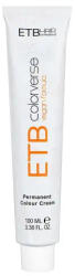 ETB Professional Colorverse Vopsea de Păr Permanentă 100ml Culoare Vibrantă și Rezistență de Lungă Durată (EH13314)