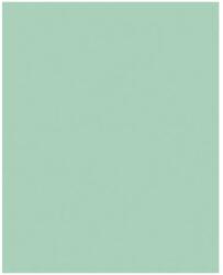 Bringmann Folia Paper Dekorkarton 2 oldalas 50x70cm 220g 10 lap menta FL61221025 (FL61221025)