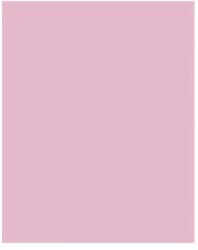 Bringmann Folia Paper Dekorkarton 2 oldalas 50x70cm 220g halvány rózsaszín (10 lap) FL61221026 (FL61221026)