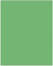 Bringmann Folia Paper Dekorkarton 2 oldalas 50x70cm 220g smaragdzöld (10 lap) FL61221054 (FL61221054)