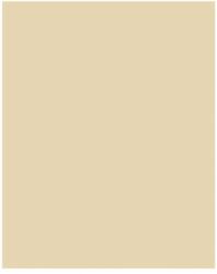 Bringmann Folia Paper Dekorkarton 2 oldalas 50x70cm 220g 10 lap bézs FL61221010 (FL61221010)