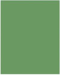 Bringmann Folia Paper Dekorkarton 2 oldalas 50x70cm 220g mohazöld (10 lap) FL61221053 (FL61221053)