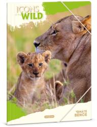 Ars Una Icons of the Wild A4 gumis mappa Lions (50215041)