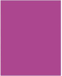 Bringmann Folia Paper Dekorkarton 2 oldalas 50x70cm 220g 10 lap sötét rózsaszín FL61221021 (FL61221021)