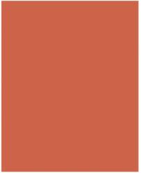 Bringmann Folia Paper Dekorkarton 2 oldalas 50x70cm 220g 10 lap narancssárga FL61221040 (FL61221040)