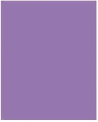 Bringmann Folia Paper Dekorkarton 2 oldalas 50x70cm 220g 10 lap sötét orgonalila FL61221028 (FL61221028)