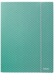 Esselte Colour Breeze gumis mappa karton A4 zöld (628493)