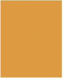 Bringmann Folia Paper Dekorkarton 2 oldalas 50x70cm 220g 10 lap okkersárga FL61221017 (FL61221017)