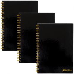 Pukka Pad Carpe Diem Spirálfüzet B5 vonalas 80 lap FSC fekete (9375-CD)