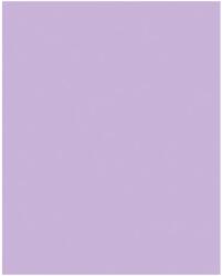Bringmann Folia Paper Dekorkarton 2 oldalas 50x70cm 220g 10 lap orgonalila FL61221031 (FL61221031)